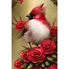 Diamond Painting -DIY Round Partial AB Drill Cardinal(45x65cm)