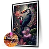 (40*60cm)Toucans - Square AB Drill Diamond Painting