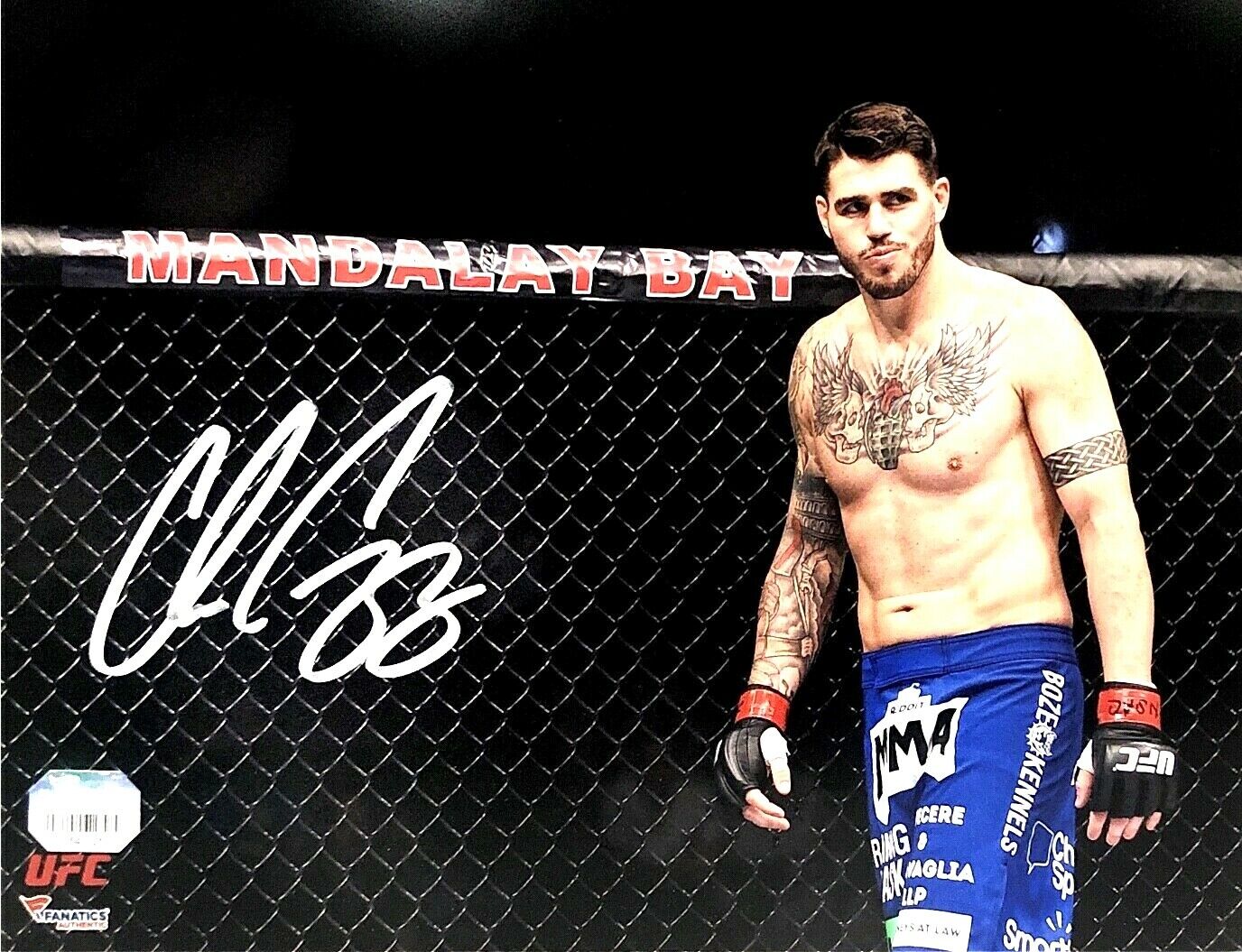 CHRIS CAMOZZI HAND SIGNED AUTOGRAPHED 8X10 UFC MMA Photo Poster painting WITH FANATICS COA 1