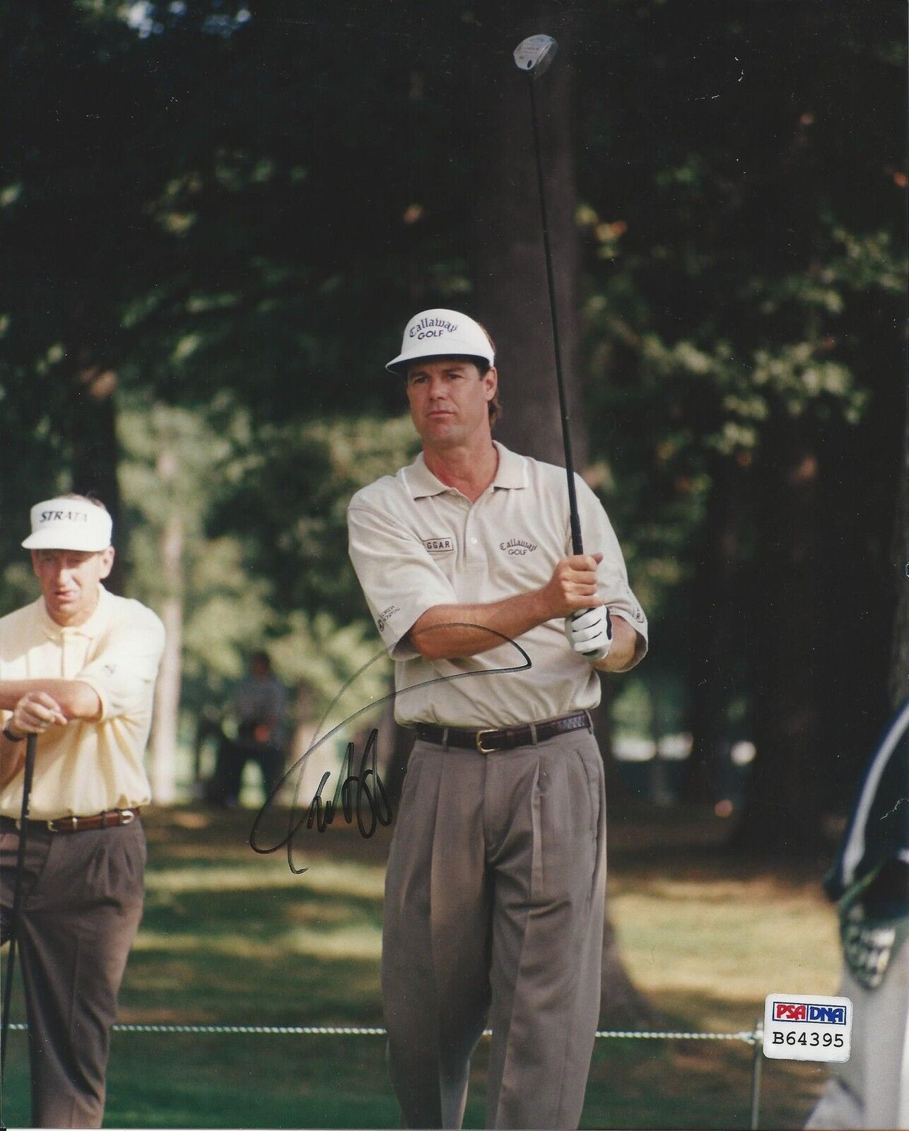 Paul Azinger Signed 8x10 Photo Poster painting PSA B64395