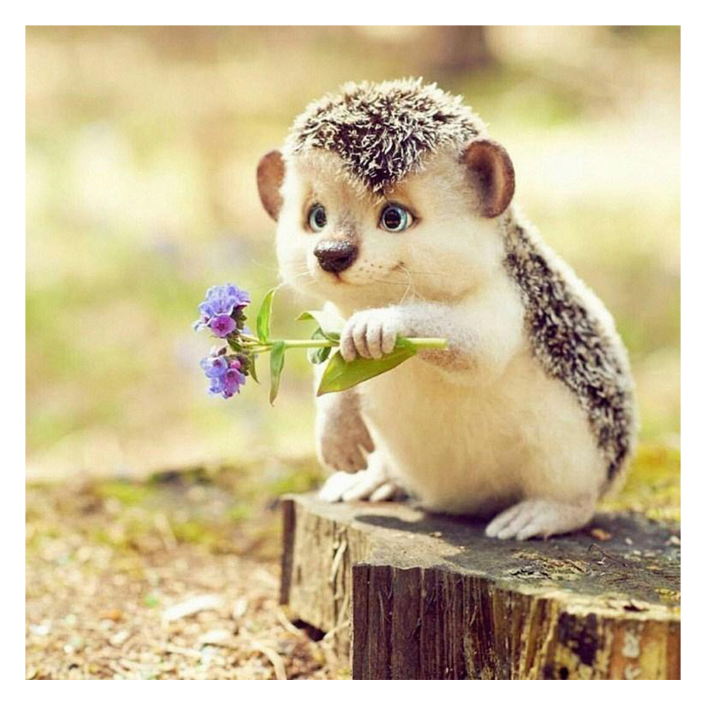 

Little Hedgehog - Round Drill Diamond Painting - 40*40CM, 501 Original