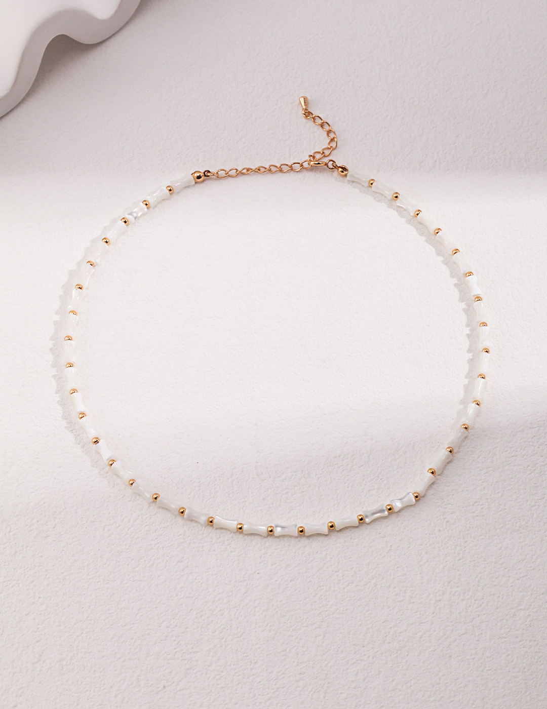 Nautilus Shell Necklace
