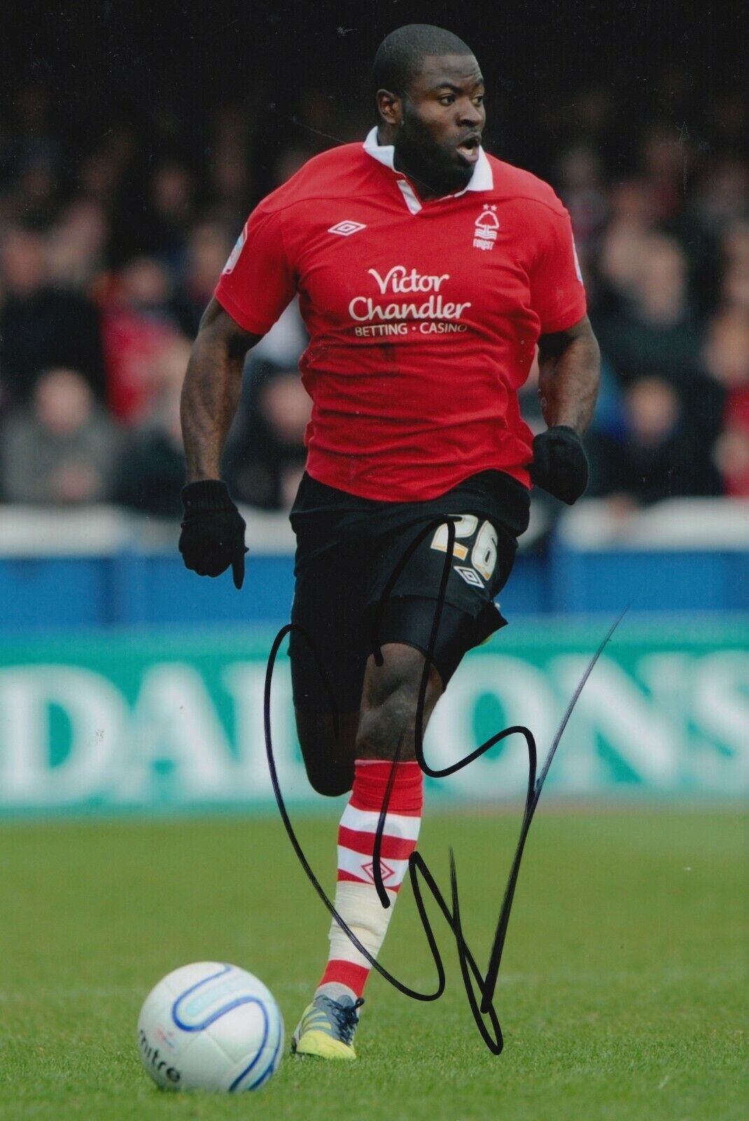 George Elokobi Hand Signed 12x8 Photo Poster painting - Nottingham Forest - Football Autograph 3