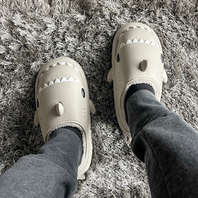 the cloud sharks winter