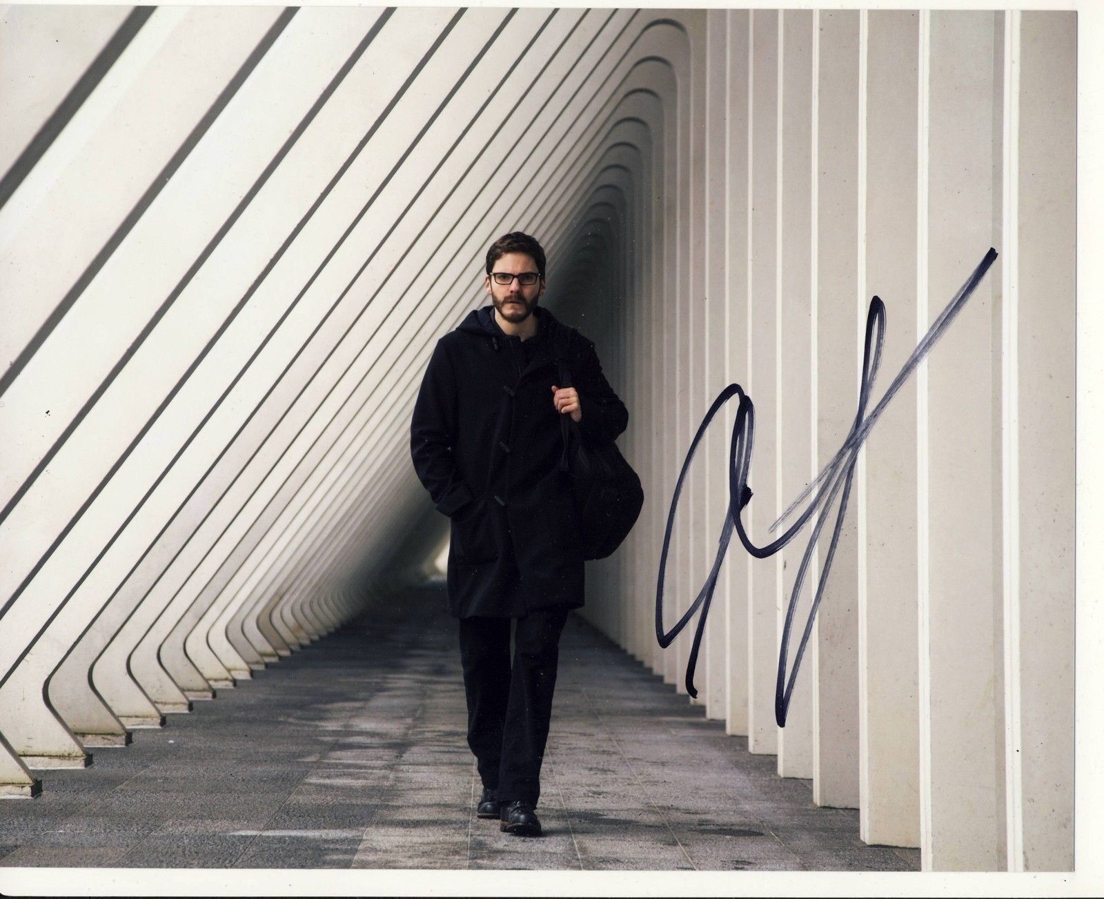 Daniel Bruhl Autograph THE 5TH ESTATE Signed 8x10 Photo Poster painting AFTAL [4060]