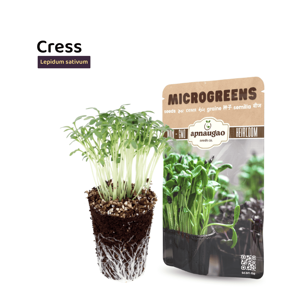Garden Cress Microgreens Seeds &ndash; Fast-Growing, Peppery & Nutritious