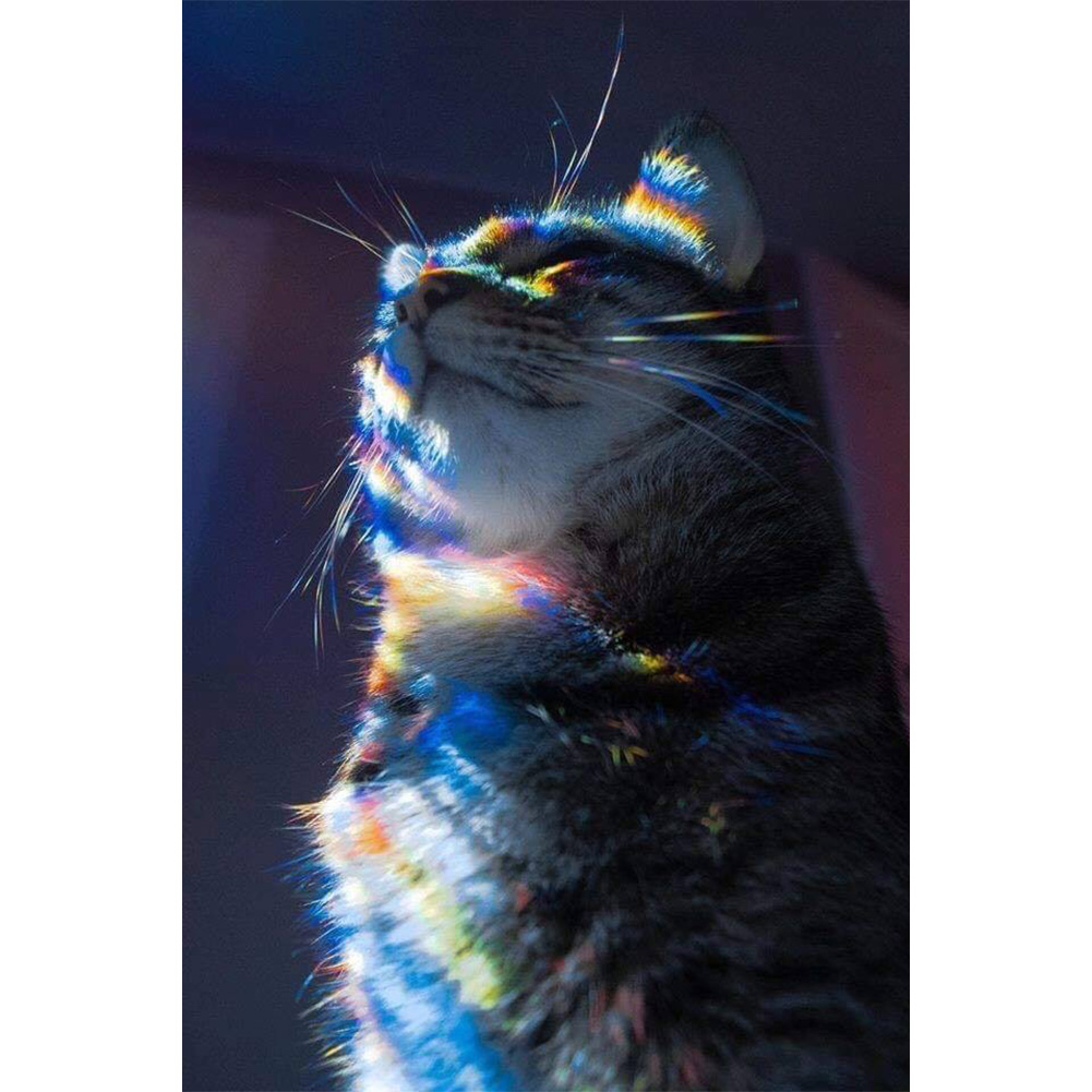 

30*45CM - Backlight Cat - Round Drill Diamond Painting, 501 Original
