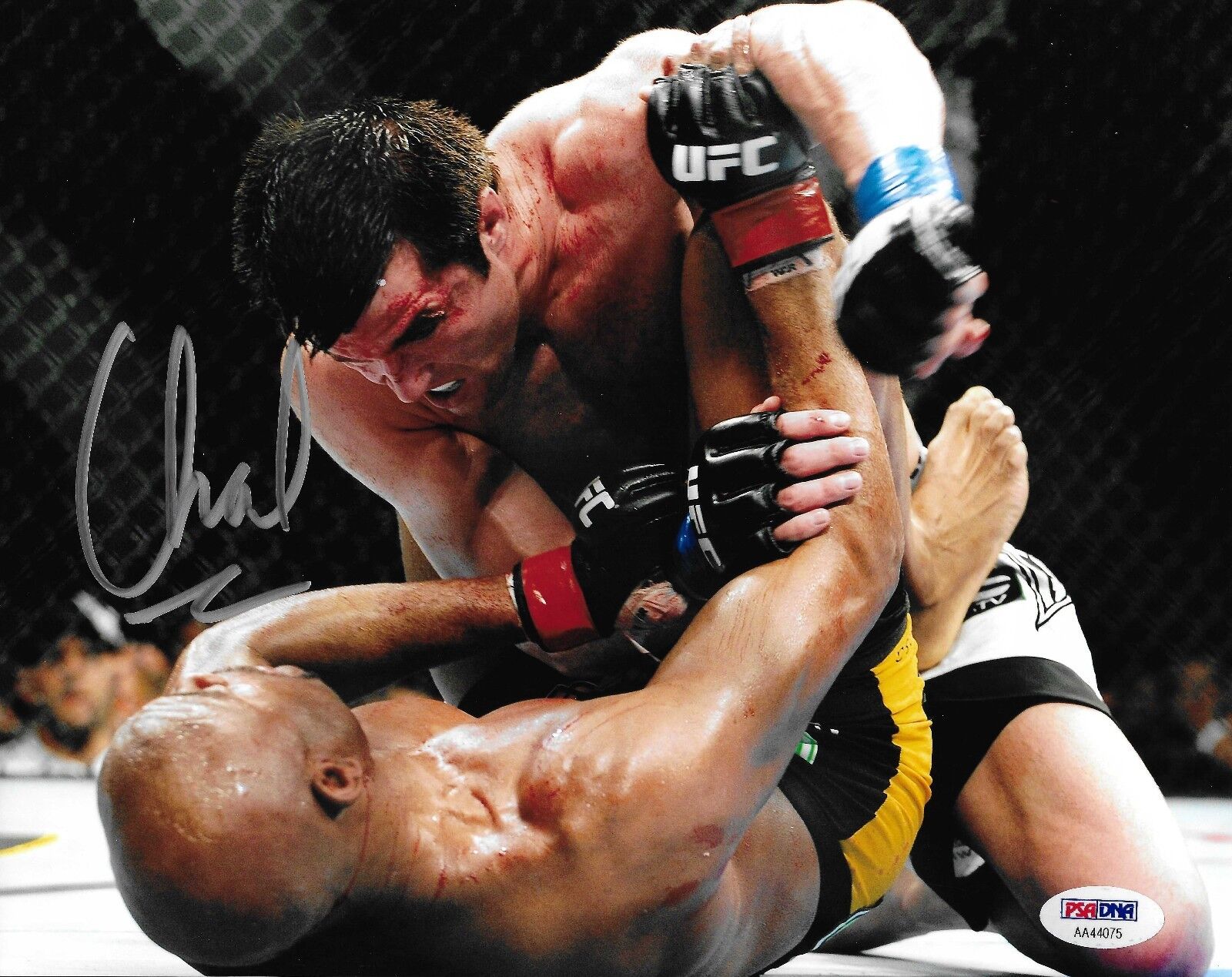 Chael Sonnen Signed UFC 117 148 8x10 Photo Poster painting PSA/DNA COA Anderson Silva Picture 5