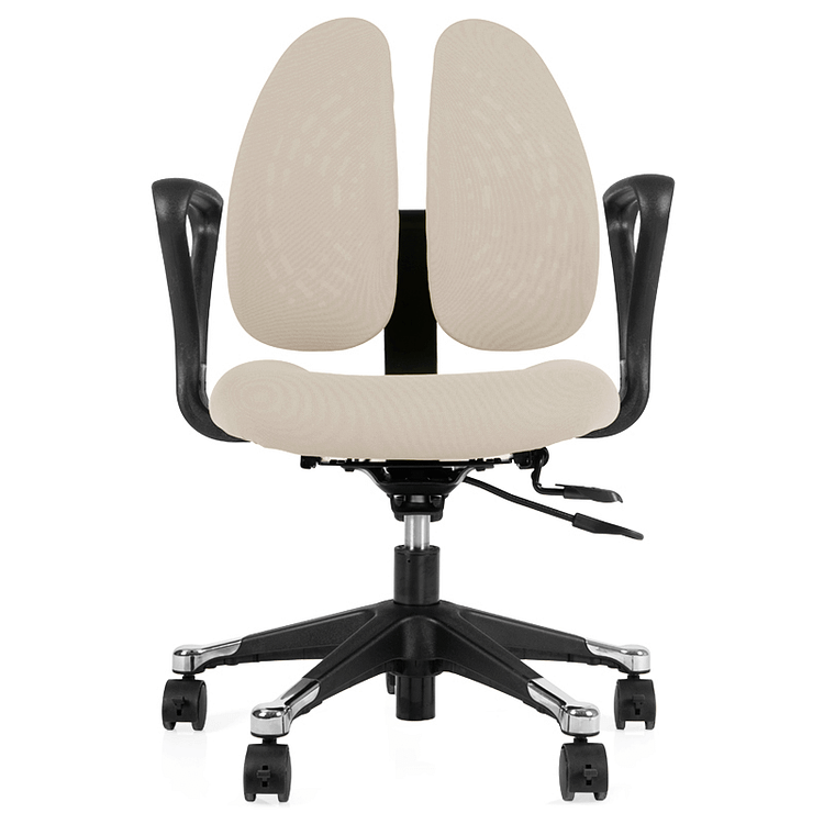 G-007b Twin Back Ergonomic Chair 