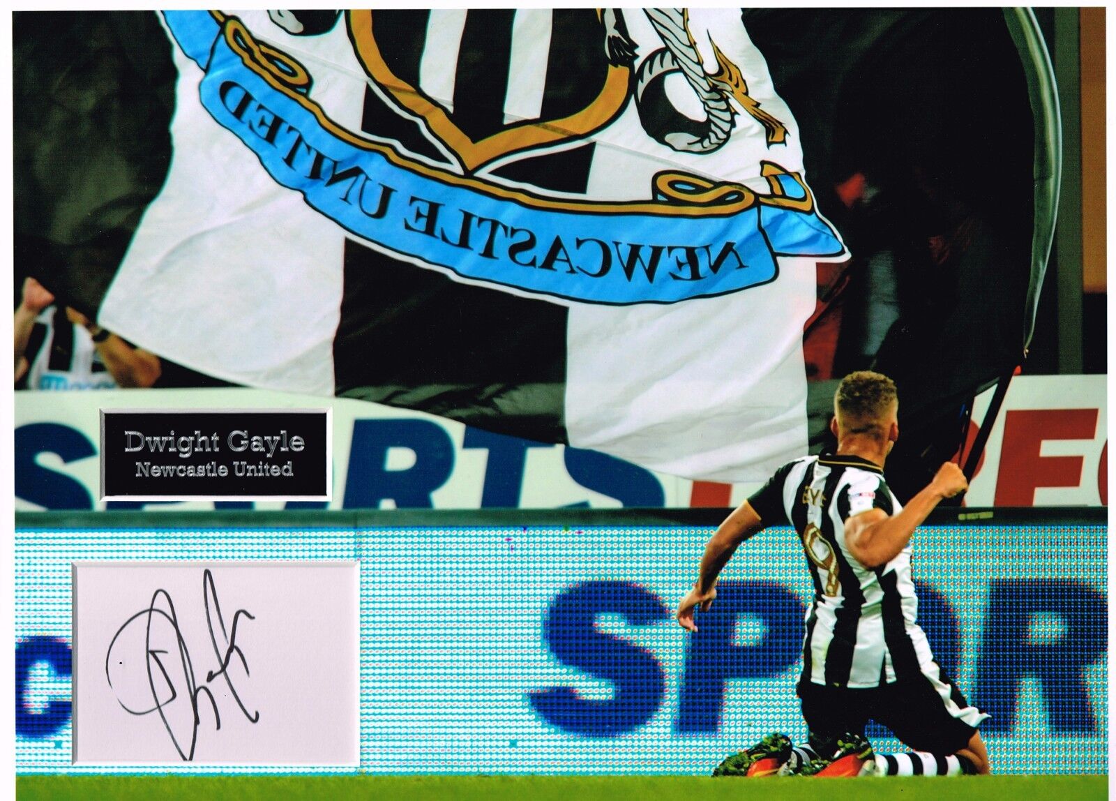 Dwight GAYLE SIGNED Autograph 16x12 Photo Poster painting Dry Mount AFTAL COA Newcastle United