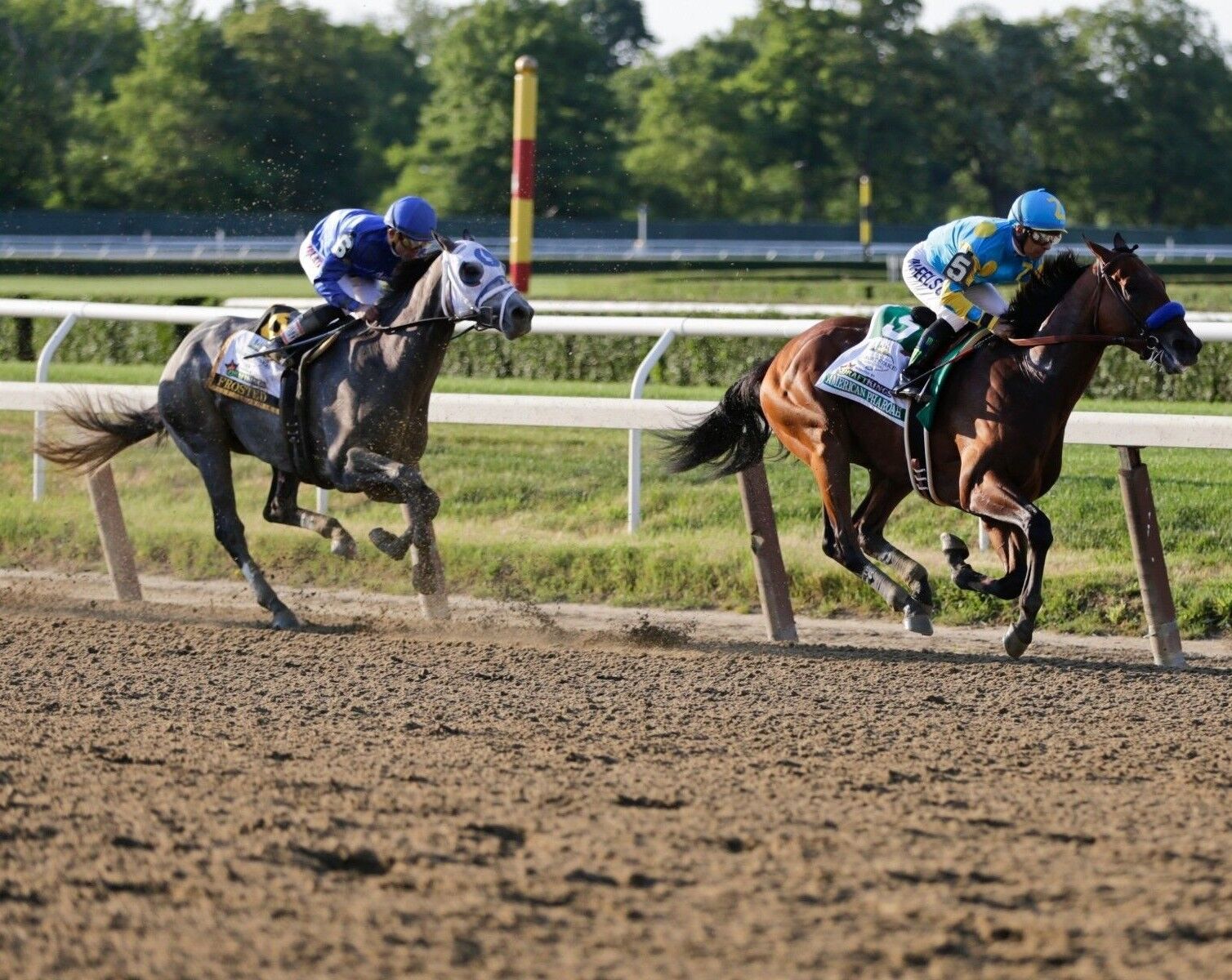 Victor Espinoza AMERICAN PHAROAH Belmont Stakes Horse Racing 8x10 Photo Poster painting FROSTED