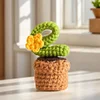 4Pcs Potted Plants Crochet Kit DIY Crochet Starter Kit Crochet Set for Beginners