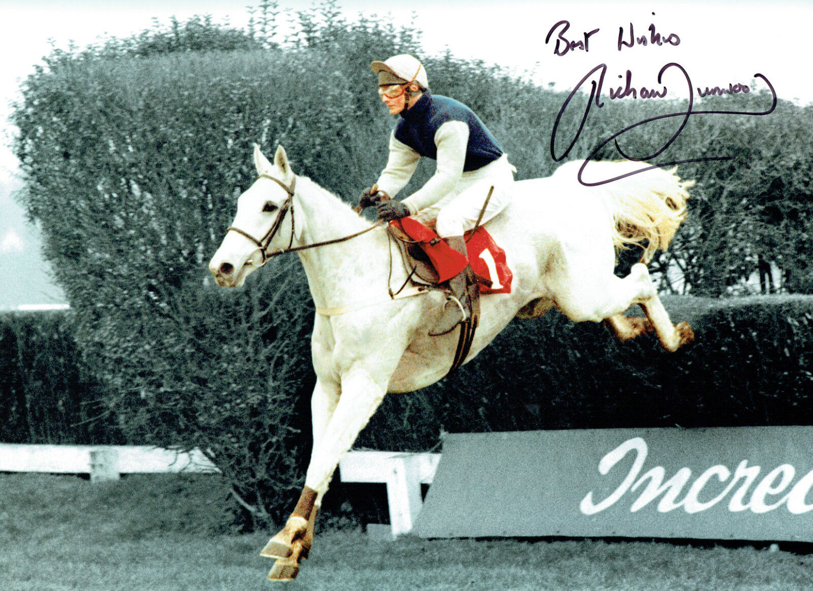 Richard DUNWOODY Jockey Desert Orchid Signed Autograph 16x12 Photo Poster painting AFTAL RD COA