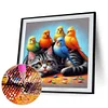 Chaton et perroquet - perceuse ronde peinture diamant - 40*40cm