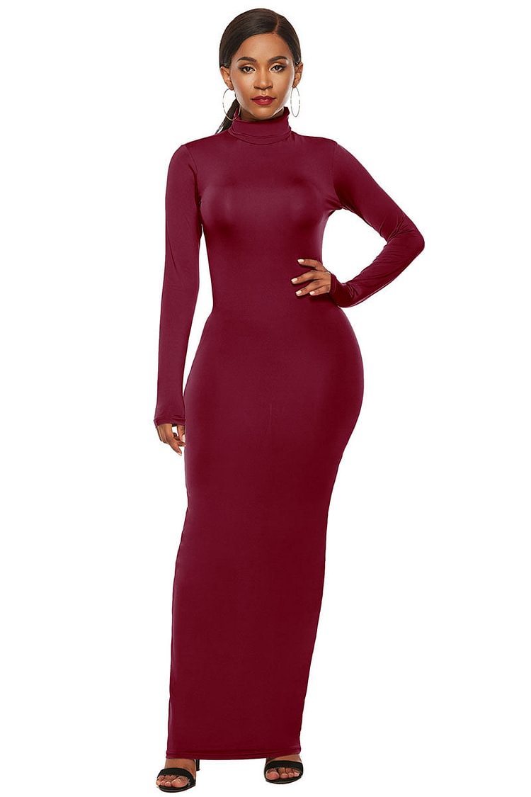 Turtleneck Long Sleeve Bodycon Basic Maxi Dresses