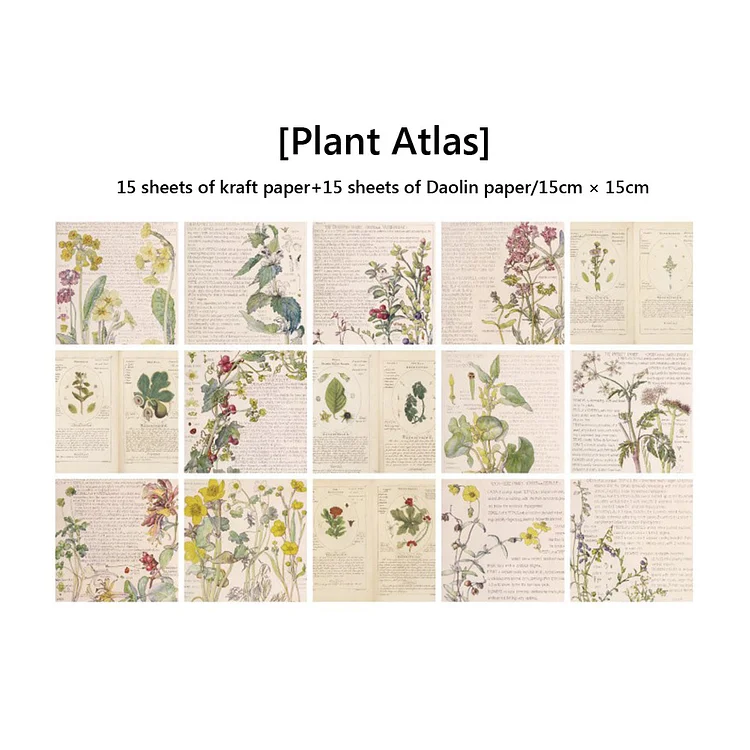 30 sheets Vintage Material Paper for DIY Scrapbooking Journal Junk (Plant  Atlas)
