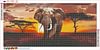 Elephant Landscape -Full Round Diamond Painting(80*40cm)