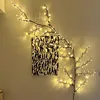 Vine Light Rattan Tree with Remote Control USB Flexible Willow Vine Lights Reusable DIY Willow Vines Branch Light for Room Wall Wedding Party Decor