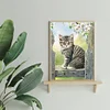 Diamond Painting-DIY Full Square Drill Cat