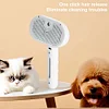 3 in 1 Pet Steam Brush with Release Button Pet Spray Hair Removal Comb Cat Brush