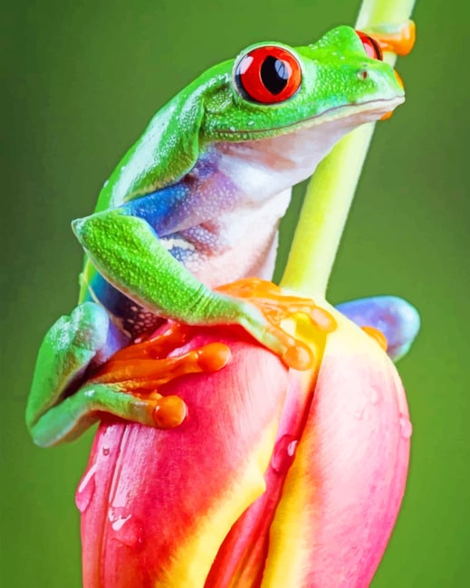 

Frog On Tulip Flower – Paint By Numbers - 40*50CM, 501 Original