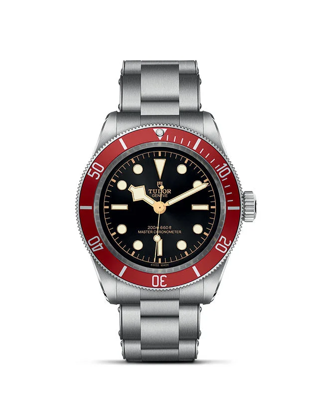 Tudor Black Bay