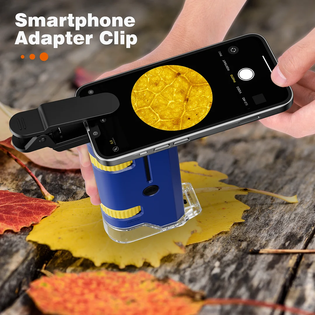 BEBANG 100X-250X Pocket Microscope, Portable Handheld Mini Microscope for Adults Kids （Blue）