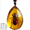 Insect Amber Pendant Natural Butterfly Specimen Insect Amber Necklace Children's Hanging Accessories