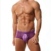 Men's Low Waist Sexy Transparent Ice Silk Seamless Ultra-Thin Boxer Briefs