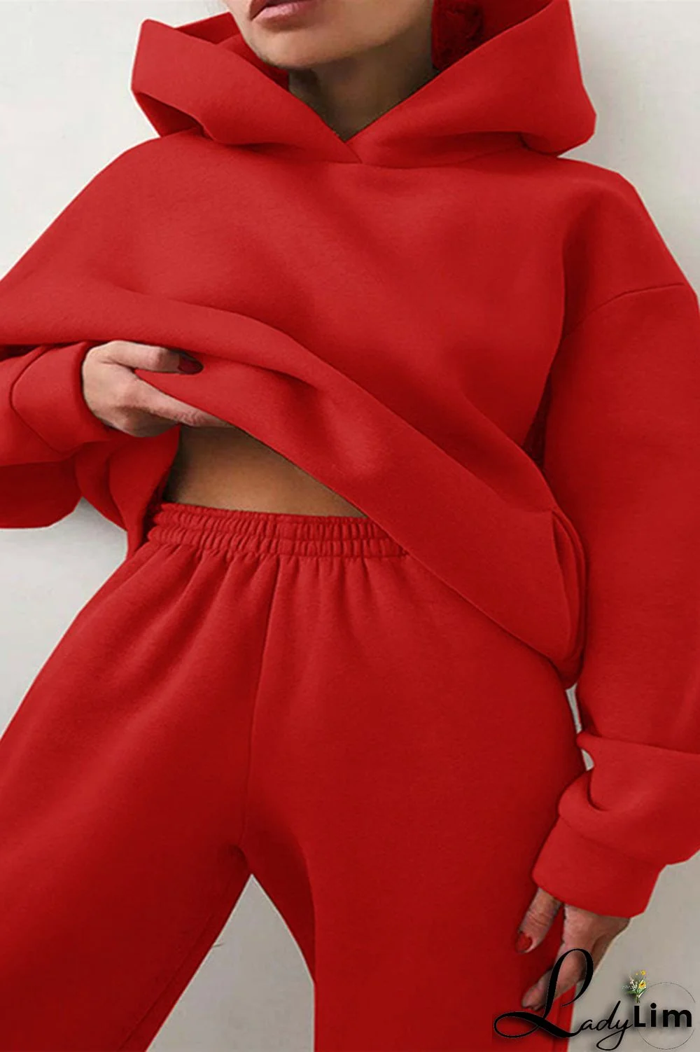 Purple Fashion Casual Solid Basic Hooded Collar Long Sleeve Two Pieces