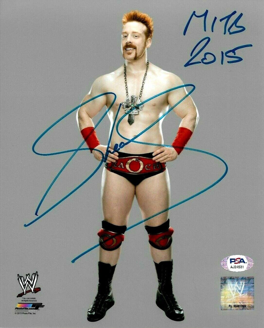 WWE SHEAMUS HAND SIGNED AUTOGRAPHED 8X10 Photo Poster painting WITH PROOF AND PSA DNA COA 16