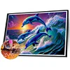 Dauphin-Peinture diamant carrée complète-70*50cm-Grande taille