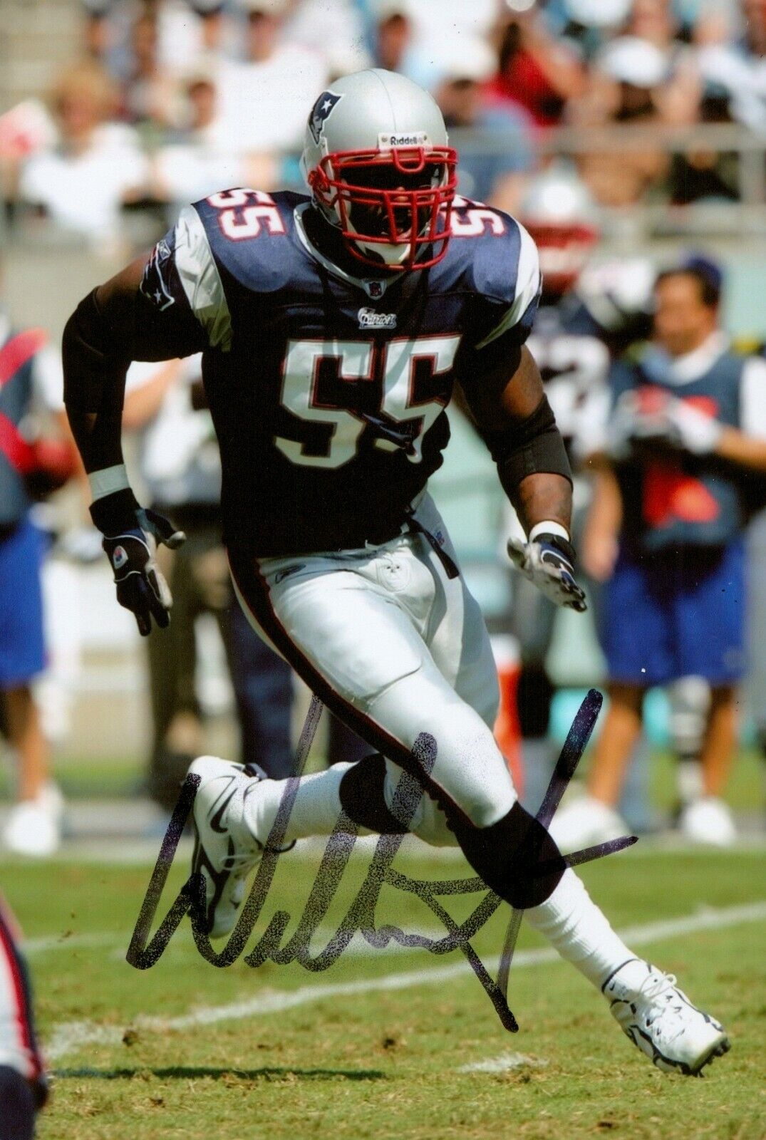 Willie McGinest Signed 6x4 Photo Poster painting NFL New England Patriots Genuine Autograph +COA