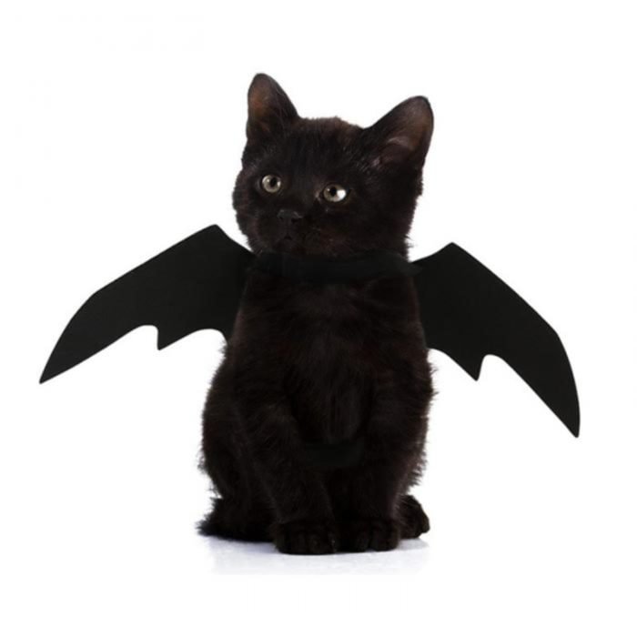 Cat Bat Wings Pet Costume