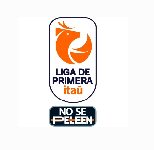 Liga de Primera Ita&uacute;