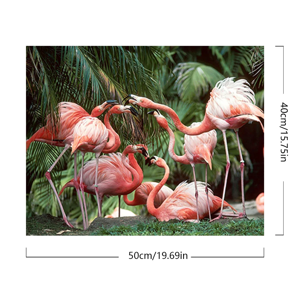 DIY Paint By Number 50*40cm - Flamingo