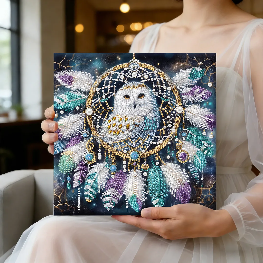 Owl Dreamcatcher DIY Art Craft Pearl Diamond Painting with Frame 9.84x9.84in Diamond Art Pearl Painting Kit for Adults Beginners Gift Idea Home Wall Decor