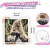 Rococo Garden Lady Special Shaped DIY Partial Drill Diamond Painting Kit for Adults Beginners Home Decor Diamonds Paintings Gem Art 30x30cm