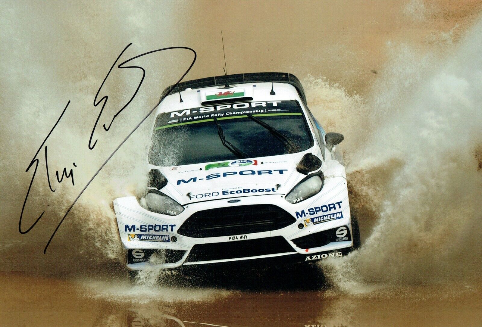 Elfyn EVANS WRC Rally Ford Fiesta RS SIGNED AUTOGRAPH 12x8 Photo Poster painting AFTAL RD COA