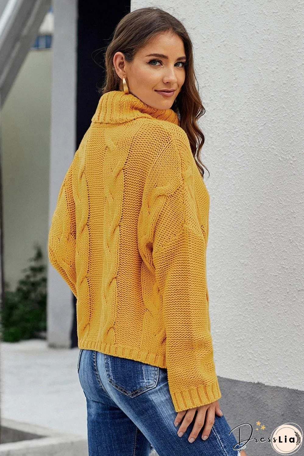 Knitted Turtleneck Pullover Sweater