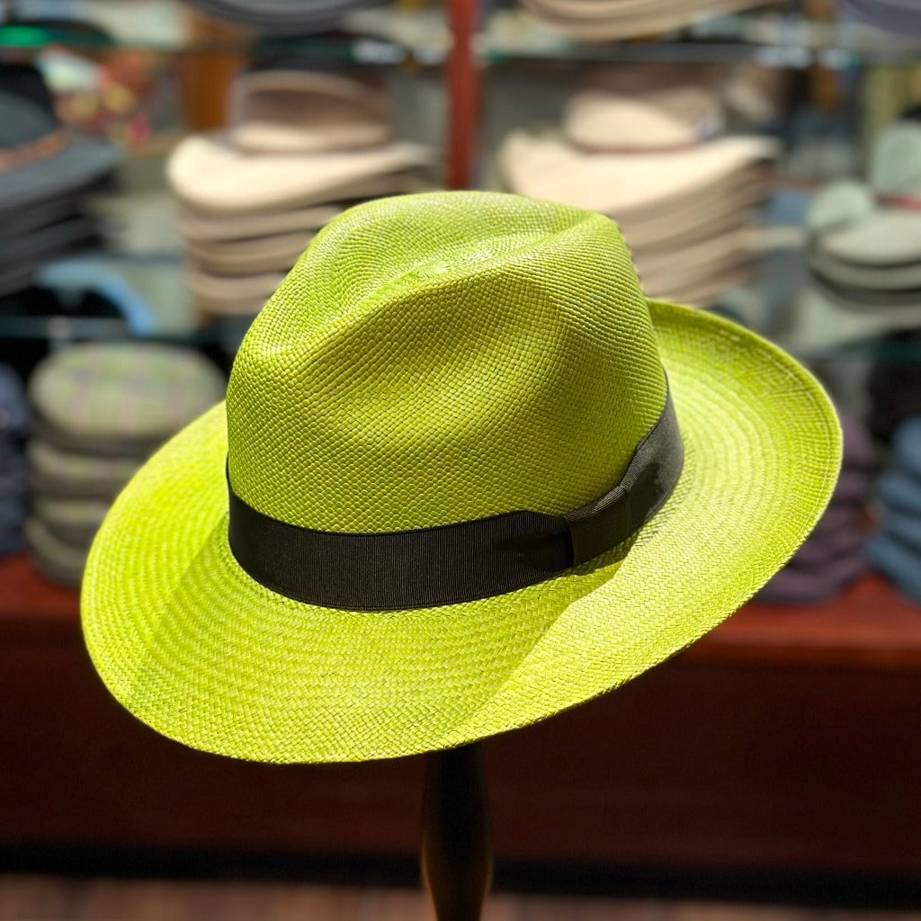 Camilo Classic Panama - Avocado