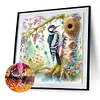 Diamond Painting-DIY Crystal Rhinestone Woodpecker（40*40CM)
