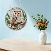 Special Shaped Diamond Painting Kit Owl Acrylic Pendant 25cm