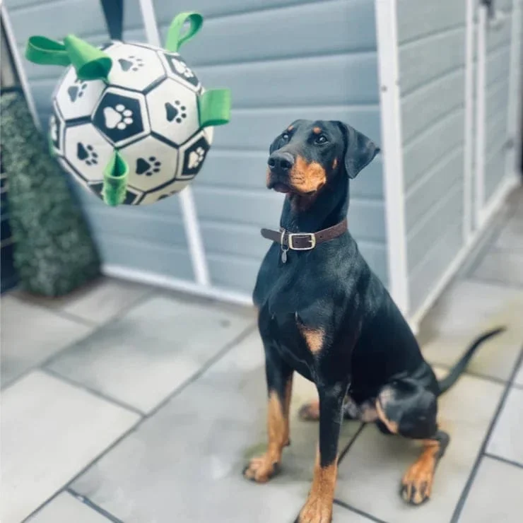 PawKick Doggy Soccer Ball &ndash; Hot Sale 50% Off