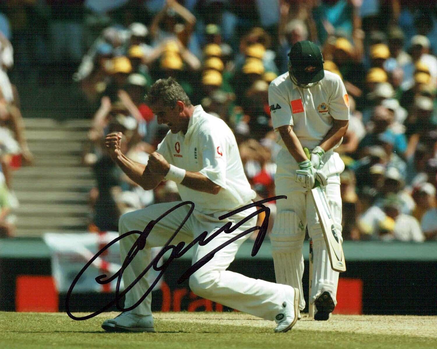 Andy CADDICK Signed Autograph 10x8 Photo Poster painting AFTAL COA England CRICKET ASHES