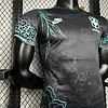 2024-2025 Player Version Brazil Pele Special Edition Jersey love fball
