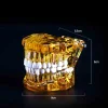 Dental Restoration Model Oral Pathology Doctor-Patient Communication Teaching Restoration Comprehensive With Nerve Part Removable Tooth Model