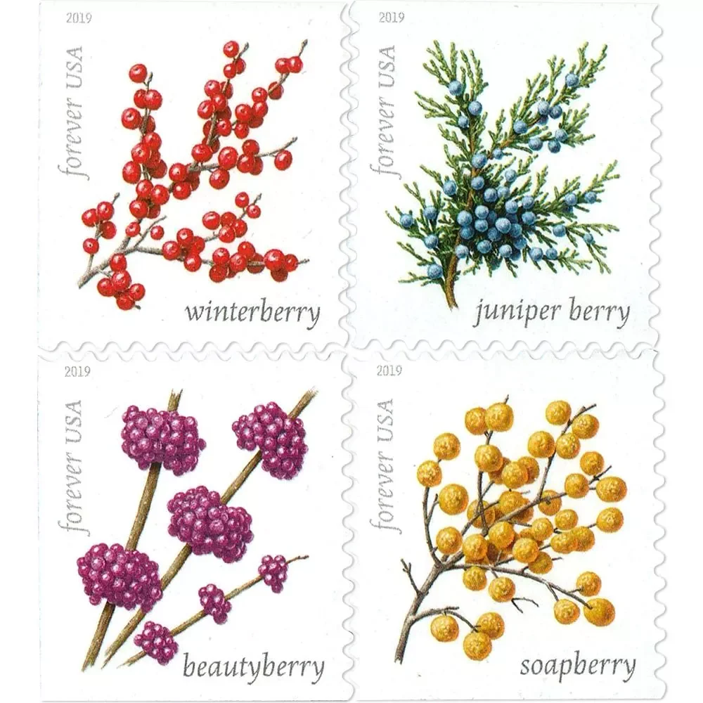 🎁【US Free Shipping】300PCS-Winter Berries