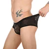 Low Waist Sexy Sheer Mesh Lace Briefs