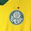 25/26 Palmeiras Soccer Jersey Third Away